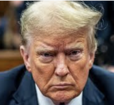 Suzanne Zeedyk tweet media