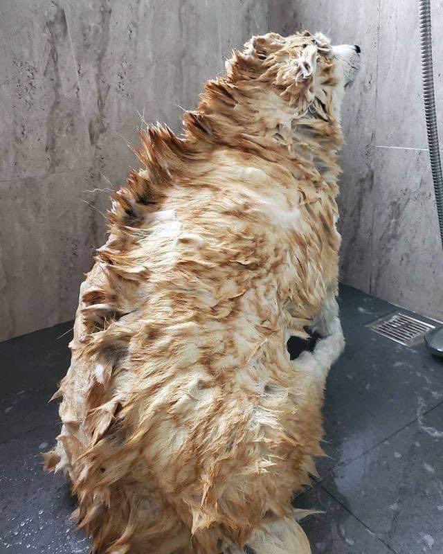 KING TAY is on an ENNIE NOMINATED PODCAST ⚠️ tweet media