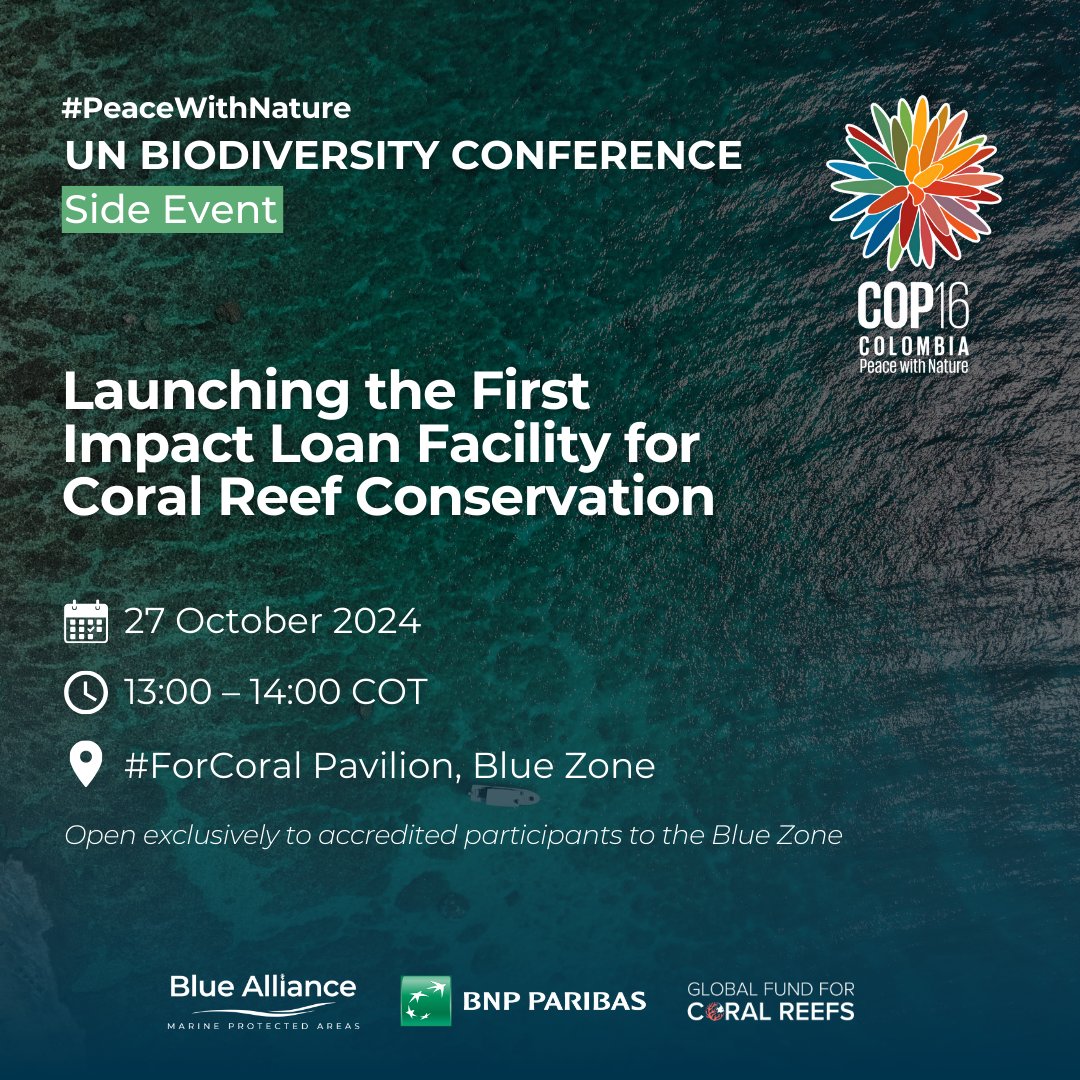 Join us at <a href="/COP16Oficial/">COP16 COLOMBIA 🇨🇴</a> for the launch of the First Impact Loan Facility for Coral Reef Conservation on 27 Oct 2024 | 13:00 – 14:00 COT at the #ForCoral Pavilion, Blue Zone. 🌎 Limited seats—register now: bit.ly/3A4neQIhttps:/…

#COP16 #BlueEconomy #CoralReefs #ImpactInvesting