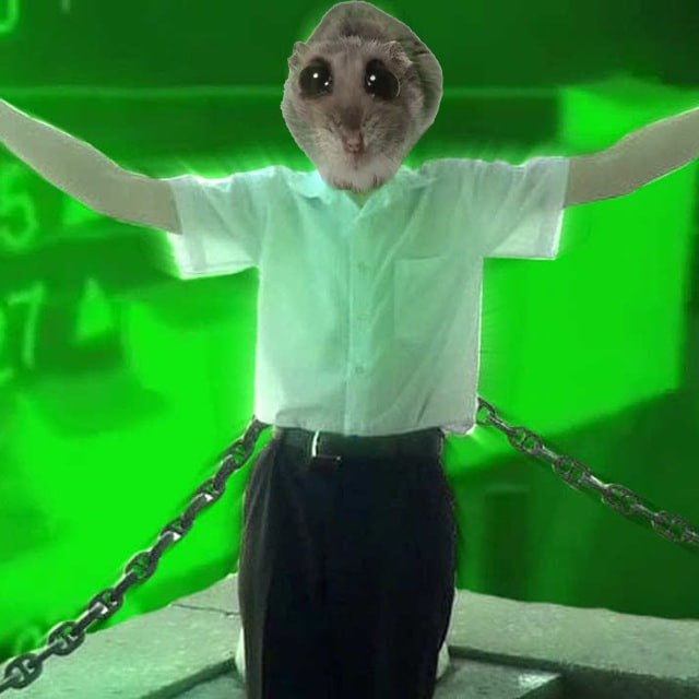 nk_ethh's tweet photo. @cryptogems555 Exciting times ahead with $hammy 😍🔥 https://t.co/WhSU93upJm