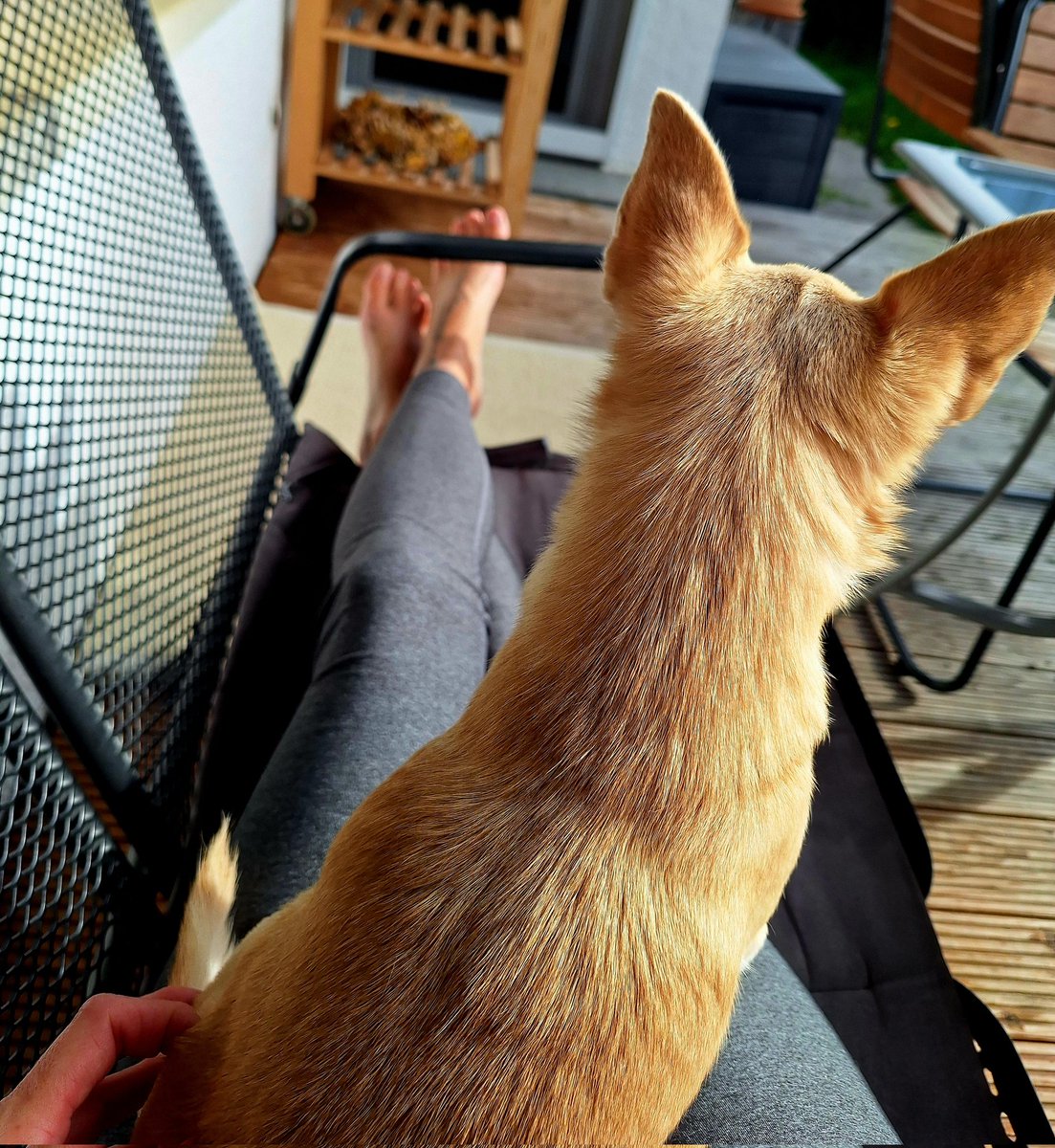 So schrecklich alles 😜☀️