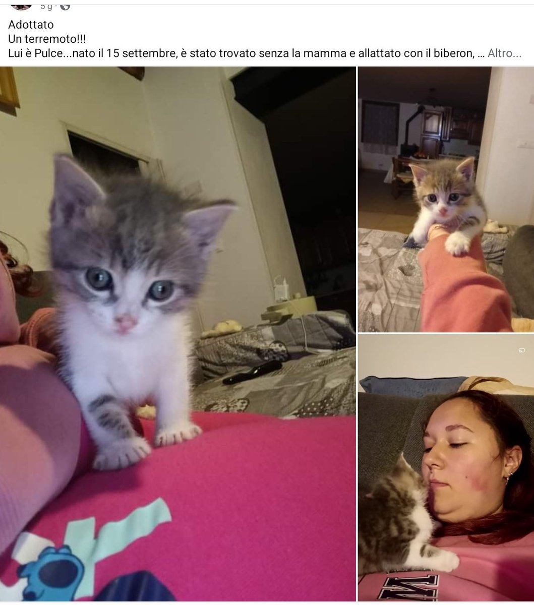 un atto d'amore odv tweet media