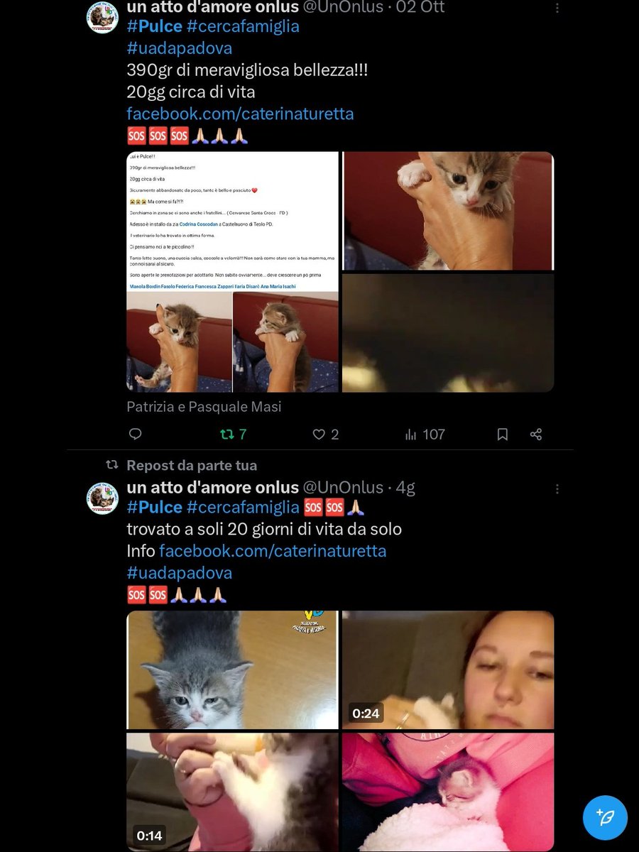 un atto d'amore odv tweet media