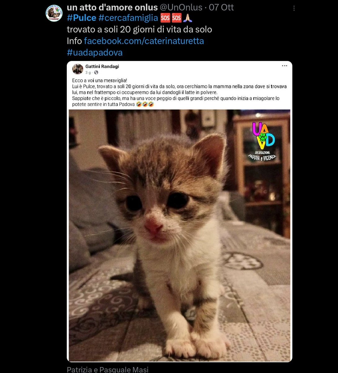 un atto d'amore odv tweet media