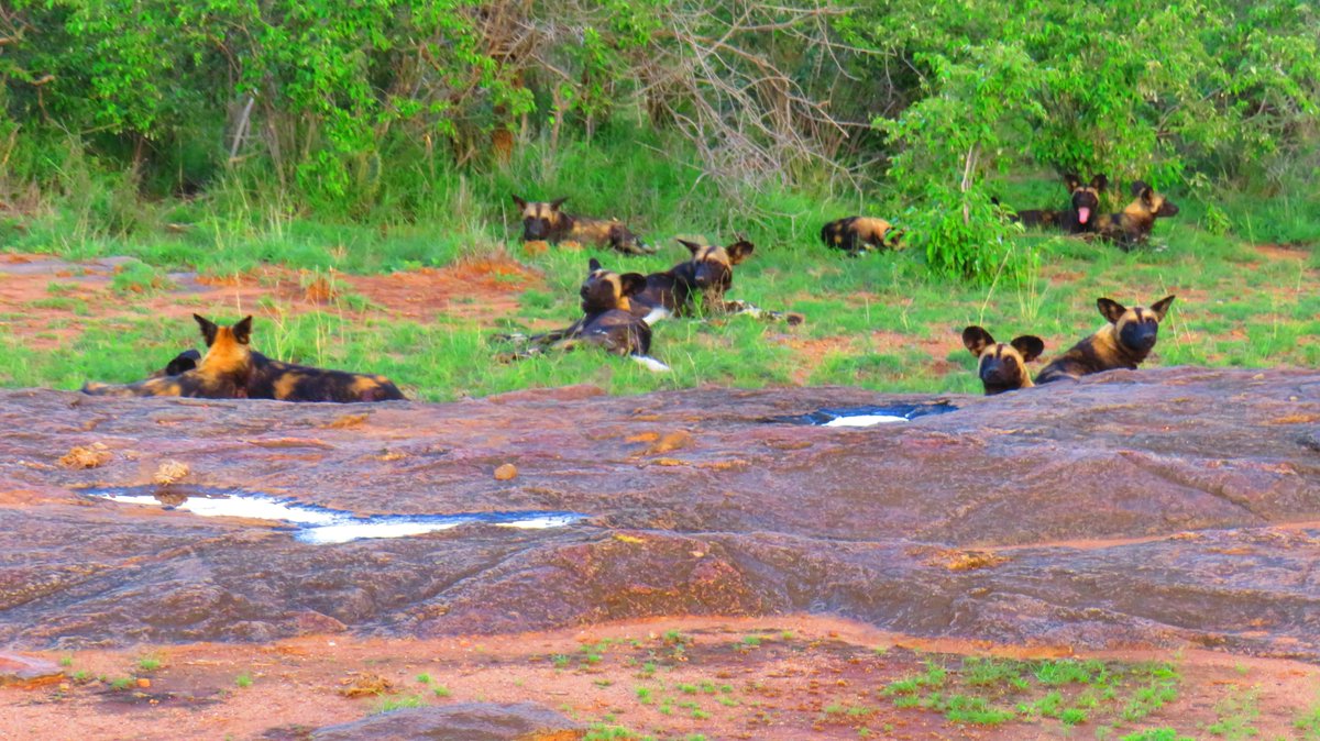 NERC Environmental Omics Facility tweet media