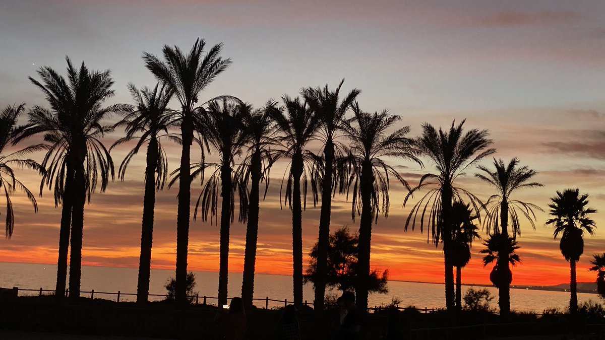 el paraíso y ellas💞💞💞