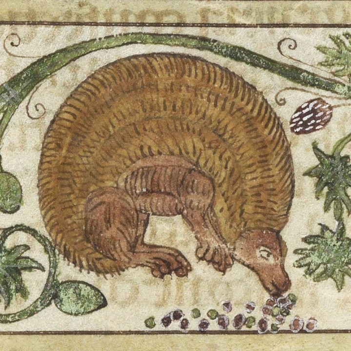 Wellcome Collection tweet media