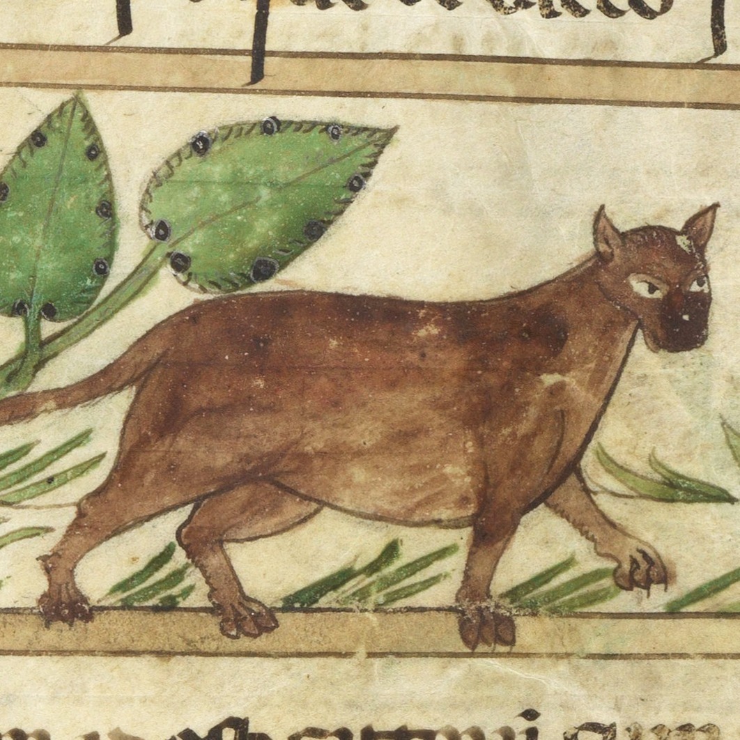 Wellcome Collection tweet media