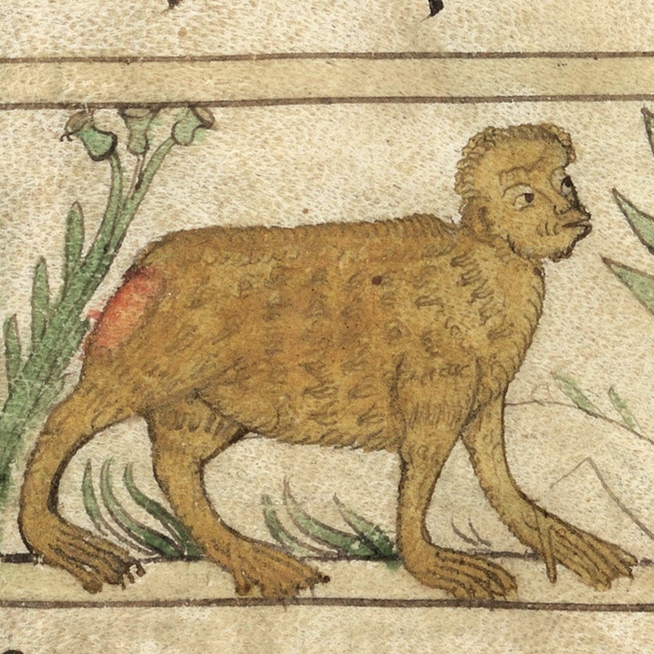 Wellcome Collection tweet media