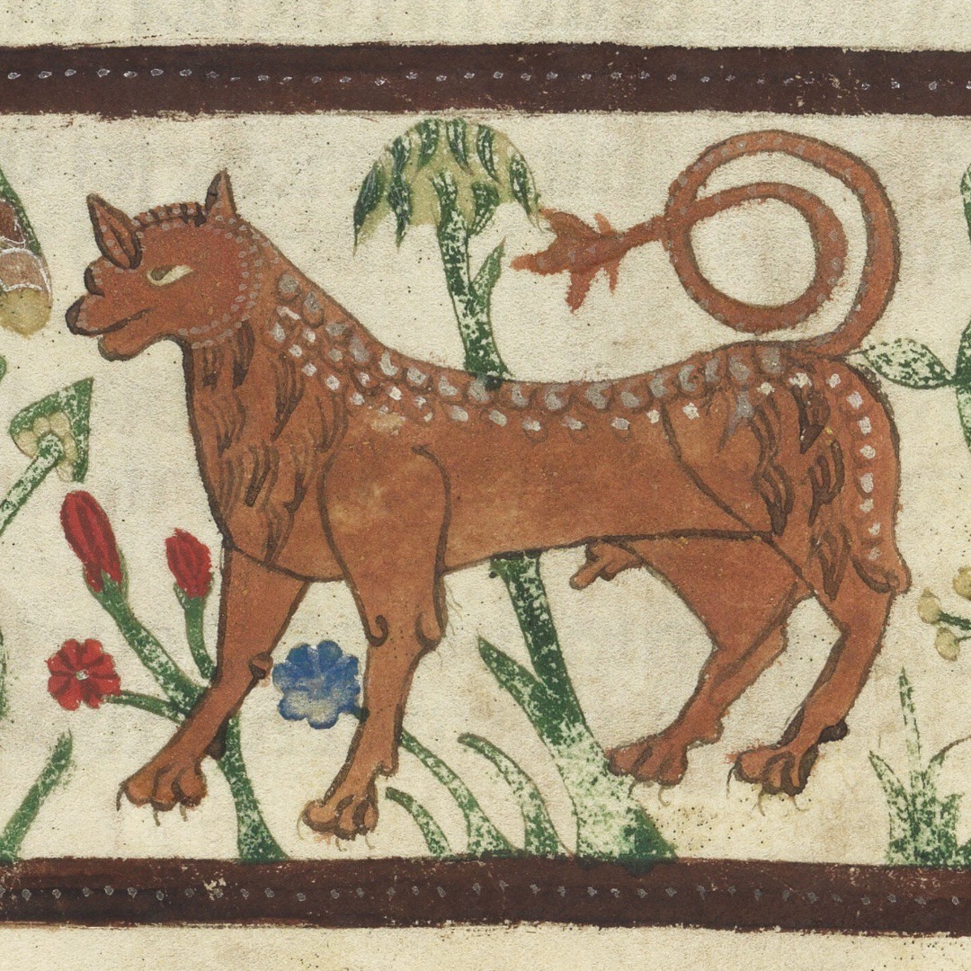 Wellcome Collection tweet media