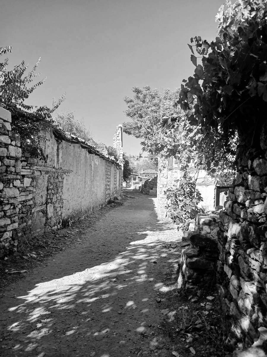 secileru's tweet photo. Bugün bir garip içim. İçim, uzun garip bir yol. #an https://t.co/KI0guRN1y3