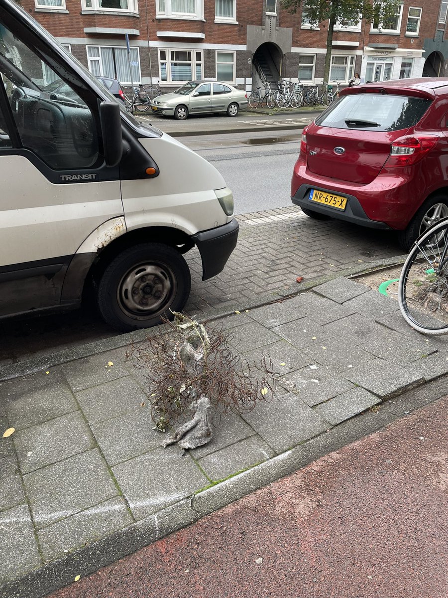 MargotDeBoks's tweet photo. Overige maandagmeldingen uit Laak @GemeenteDenHaag #isgemeld https://t.co/sm6YfdriIW