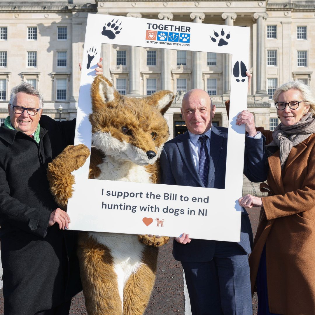 LeagueACS's tweet image. The League Against Cruel Sports and @USPCA_Official are supporting a Private Members Bill to ban hunting with dogs in Northern Ireland, the last part of the UK where it remains legal.

Read more and sign the petition &amp;gt;&amp;gt;leagueacs.co.uk/fHVW6

#TimeForChangeNI