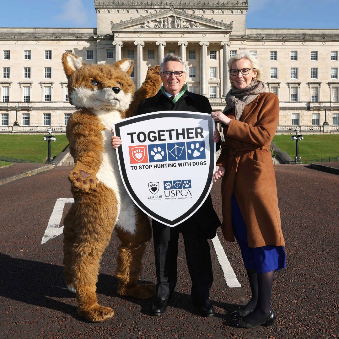 LeagueACS's tweet image. The League Against Cruel Sports and @USPCA_Official are supporting a Private Members Bill to ban hunting with dogs in Northern Ireland, the last part of the UK where it remains legal.

Read more and sign the petition &amp;gt;&amp;gt;leagueacs.co.uk/fHVW6

#TimeForChangeNI