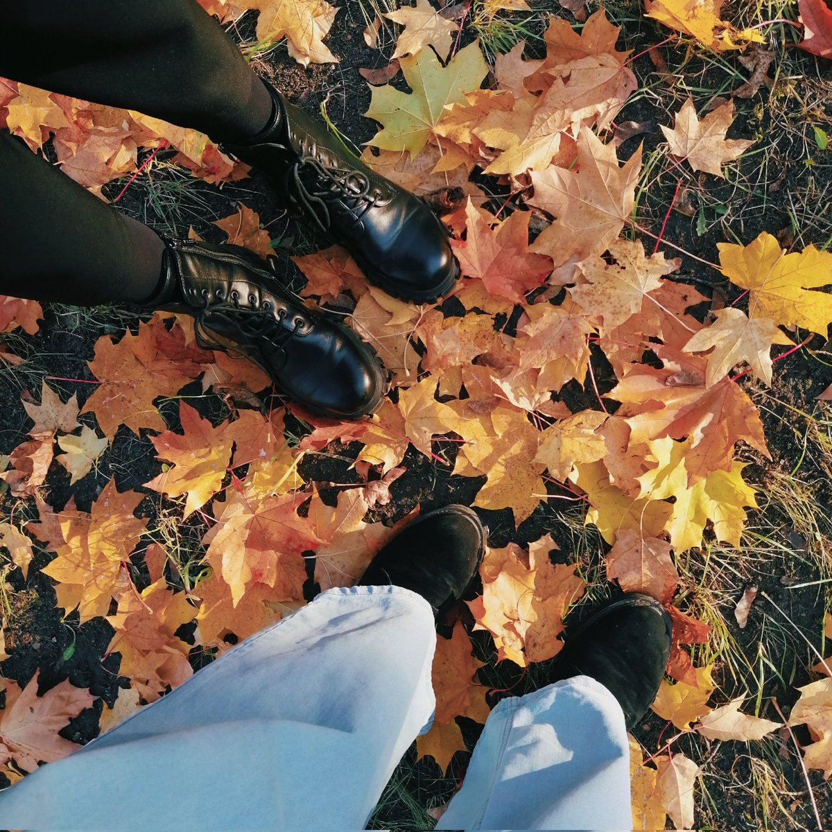 Ловим последние солнечные деньки 🍂☀️