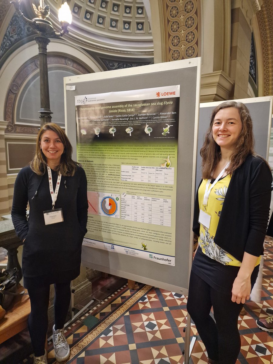 LOEWE Centre Translational Biodiversity Genomics (@loewe_tbg) on Twitter photo Attending the Long Read Sequencing Meeting #LRUA24 in #Uppsala?
Don't miss the chance to connect with members of <a href="/LOEWE_TBG/">LOEWE Centre Translational Biodiversity Genomics</a> & <a href="/Senckenberg/">SENCKENBERG</a> and learn how they are using #longread sequencing in their projects.
#biodiversity #genomics
👉 lrua2024.se Attending the Long Read Sequencing Meeting #LRUA24 in #Uppsala?
Don't miss the chance to connect with members of <a href="/LOEWE_TBG/">LOEWE Centre Translational Biodiversity Genomics</a> & <a href="/Senckenberg/">SENCKENBERG</a> and learn how they are using #longread sequencing in their projects.
#biodiversity #genomics
👉 lrua2024.se