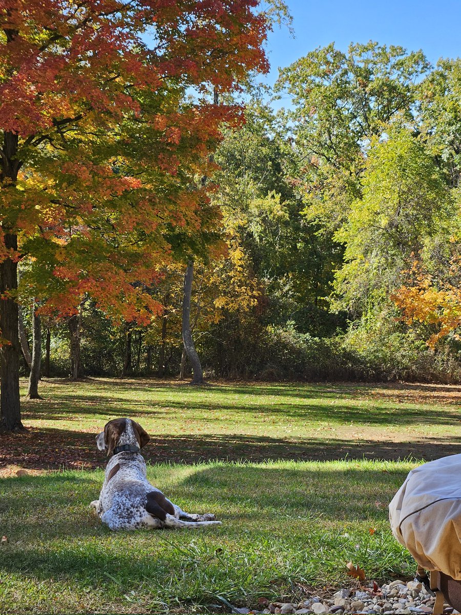 commsonawire's tweet photo. Pause, take a breath.  Look around and take a minute to enjoy the change in seasons.  #lifemovesfast #countryliving #MondayMood https://t.co/ZrkluWTqtQ