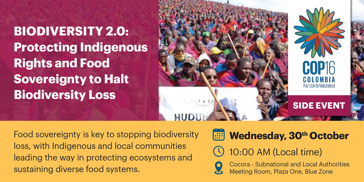 🚀 #COP16 has kicked-off!
🌱CIDSE and partners will host a side event on how protecting #IndigenousRights &amp; #FoodSovereignty is crucial to halting #BiodiversityLoss.
📅 When? October 30 | 10 AM
🔗 buff.ly/4f5hK6V