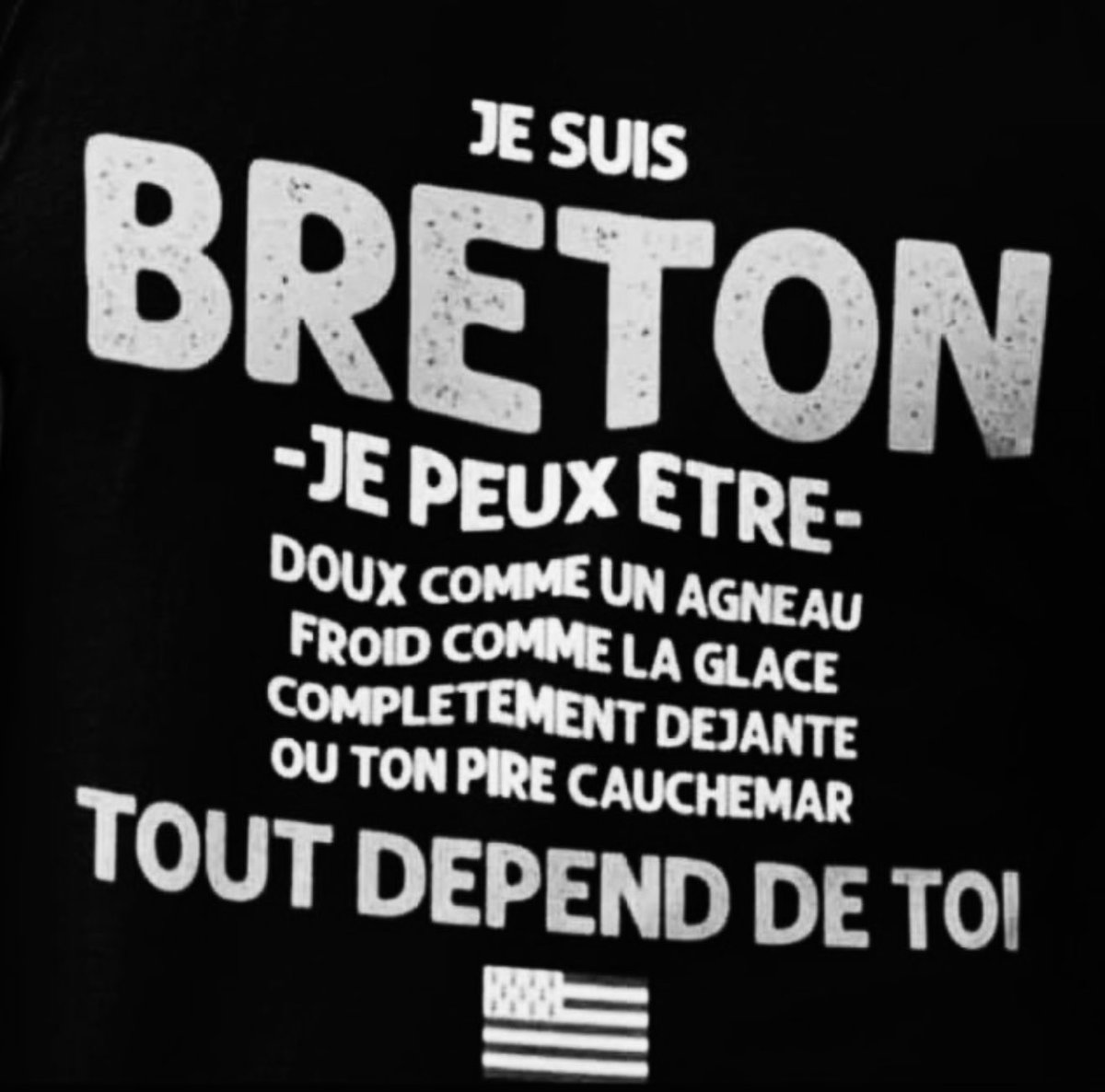 Mammbreizh's tweet photo. Dicton Breton 😅😇🥰 #Bretagne https://t.co/NFIEysUFu0