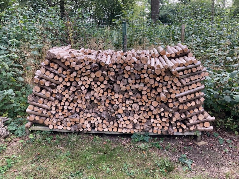 Rockingham Forest Vision tweet media