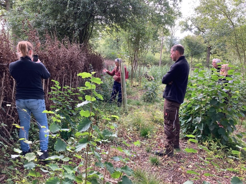 Rockingham Forest Vision tweet media