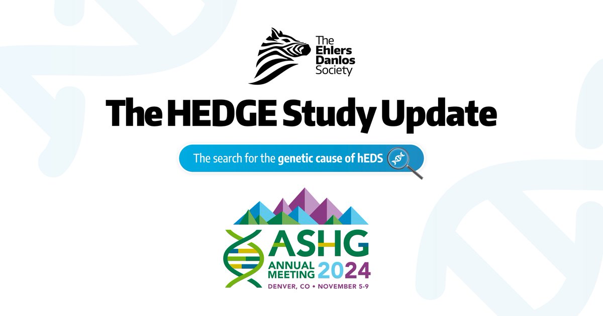 TheEDSociety's tweet photo. 🧬Exciting HEDGE Study Update! 

Hypermobile Ehlers-Danlos syndrome (hEDS) remains the only type of Ehlers-Danlos syndrome (EDS) that does not have known genetic markers and diagnosis cannot be confirmed through genetic testing. Many people with hEDS, therefore experience delays in diagnosis, can be misdiagnosed, and can experience delays in accessing suitable treatments. 

The Ehlers-Danlos Society’s HEDGE study is a truly global collaborative effort with participants from 86 countries, analyzing 1021 whole-genome sequences from individuals who have hEDS by the 2017 clinical diagnostic criteria. 

The HEDGE analysis team is preparing for the publication of their initial findings from the HEDGE (Hypermobile Ehlers-Danlos Genetic Evaluation) study. The team plans to publish a number of papers, which are expected to be released in 2025.  

Ahead of this, the team submitted abstracts describing preliminary work on the HEDGE study to the American Society for Human Genetics (ASHG) conference. The ASHG @GeneticsSociety is the world's largest professional community driving the field of human genetics and genomics research and translation, so this is incredible news. The conference committee accepted three abstracts. 

Details of how to view the abstracts, lay summaries, and FAQs can be found here: https://t.co/kJuDyMHwow 

In addition, The Ehlers-Danlos Society is producing a general Q&A webinar update on the HEDGE Study and the publications, which will be available from November 8, 2024, once the ASHG conference presentation has been given and in compliance with their press release requirement.  

To stay up to date with the latest HEDGE news please join our newsletter here: https://t.co/tZTjNlXclE HEDGE participants have been contacted in advance by our research team.

#hEDS #HypermobileEDS #HypermobileEhlersDanlosSyndrome #Genetics #GeneticResearch #Research #HEDGEstudy
