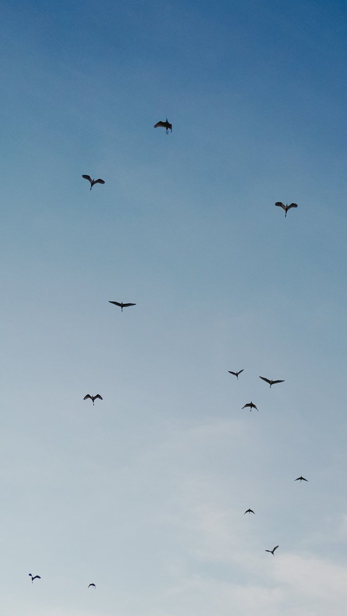merekamcahaya's tweet photo. Mengantar burung-burung, matahari, pulang ke rumahnya. Menjemput bulan agar segera pada gilirannya. https://t.co/hskOPwvwCk