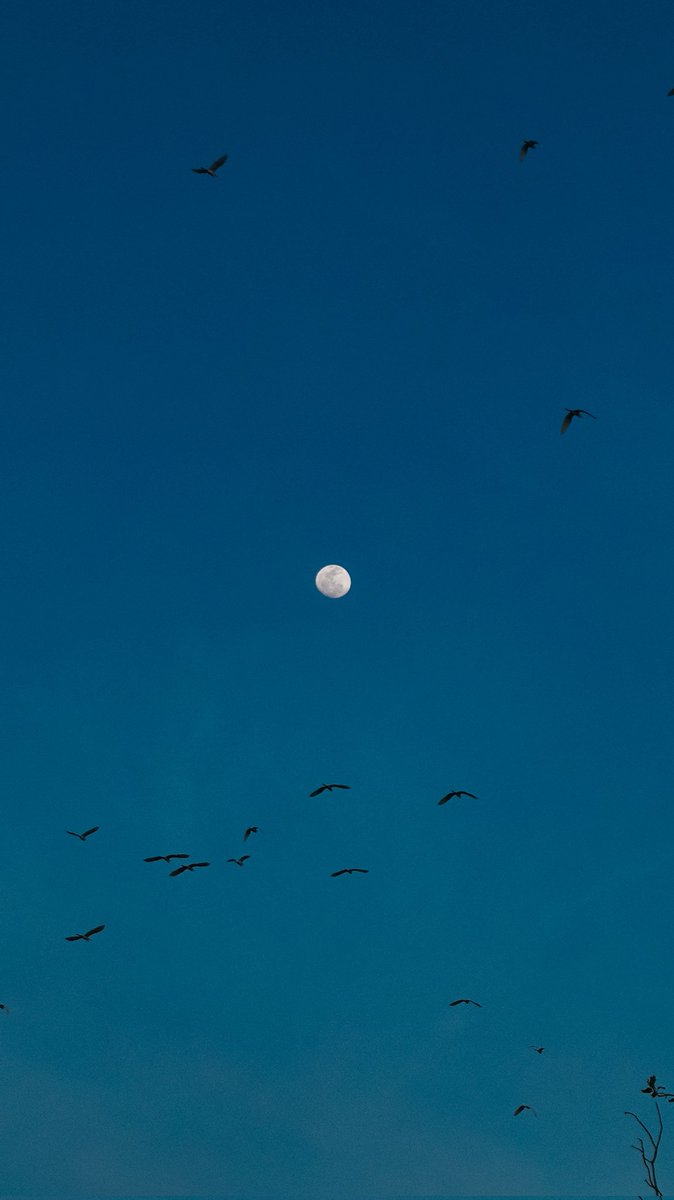 merekamcahaya's tweet photo. Mengantar burung-burung, matahari, pulang ke rumahnya. Menjemput bulan agar segera pada gilirannya. https://t.co/hskOPwvwCk