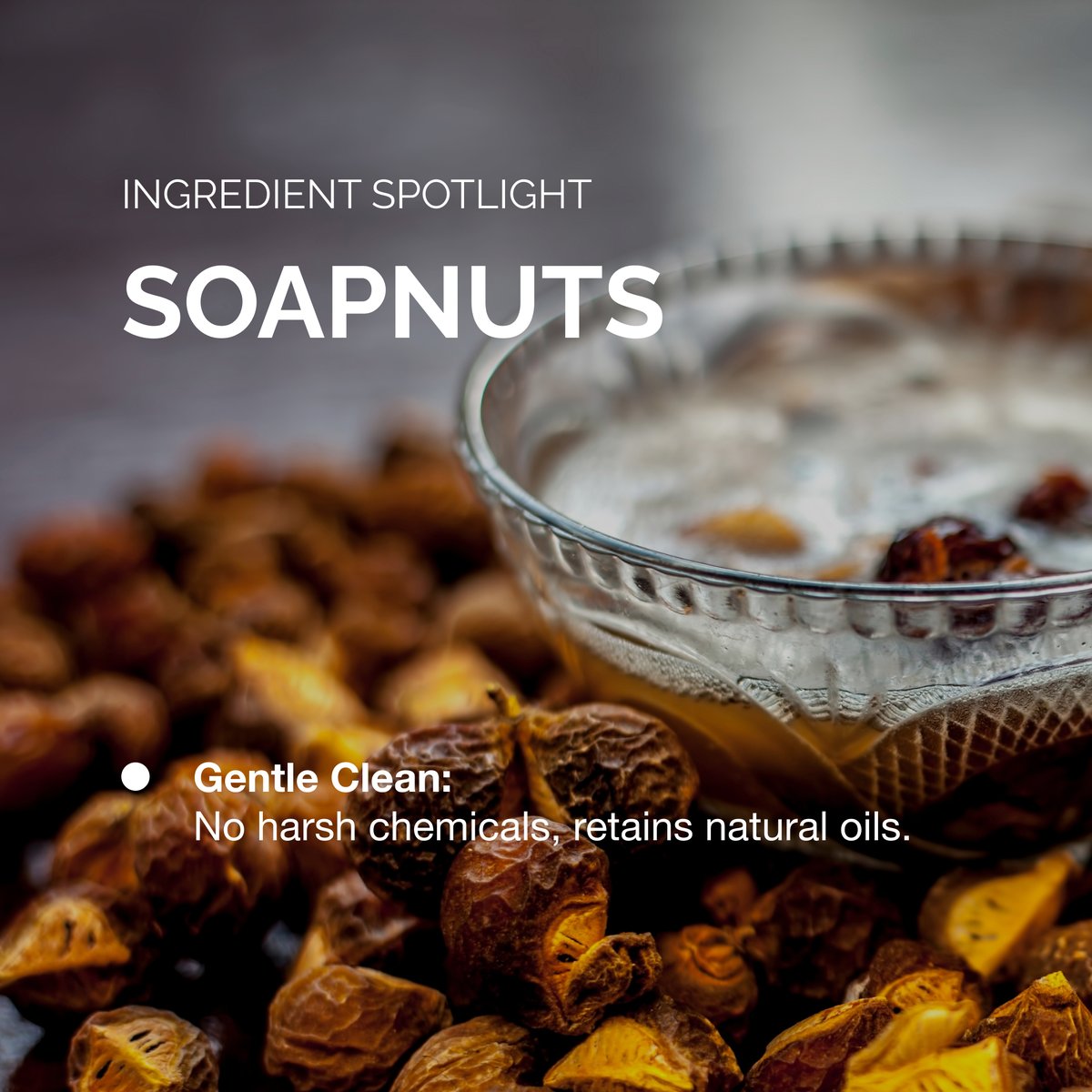 hoomanely's tweet image. Soapnuts are our go-to for a natural cleanse—free from harsh chemicals! Gentle on your pet kiddos and kind to the planet, they deliver effective grooming without compromise. Grab yours now—link in bio!

#Hoomanely #SafeForDogs #EcoFriendlyChoice #PetWellbeing
