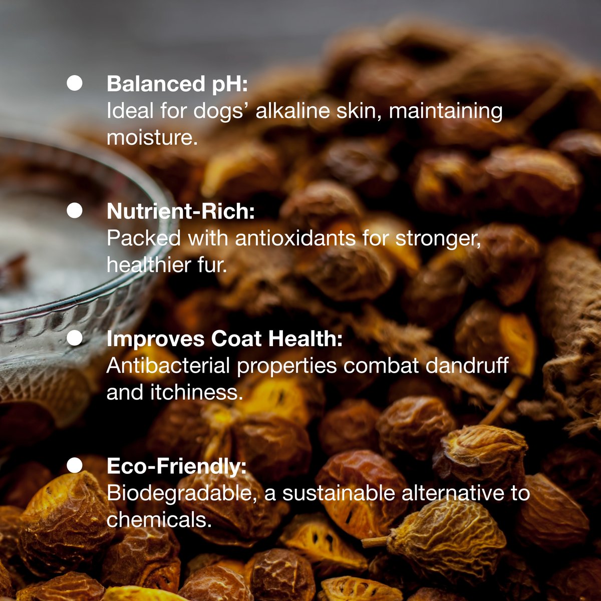 hoomanely's tweet image. Soapnuts are our go-to for a natural cleanse—free from harsh chemicals! Gentle on your pet kiddos and kind to the planet, they deliver effective grooming without compromise. Grab yours now—link in bio!

#Hoomanely #SafeForDogs #EcoFriendlyChoice #PetWellbeing