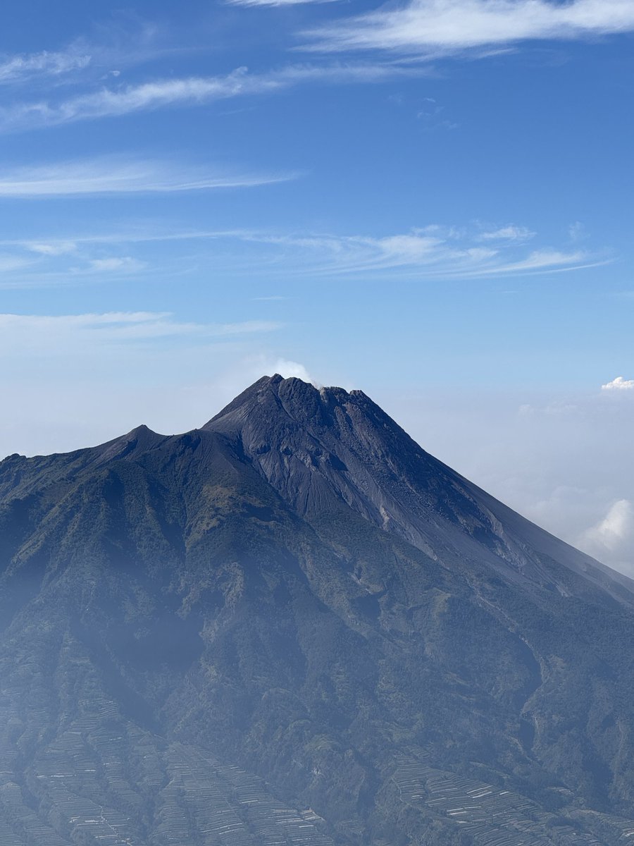 crispyduck tweet media