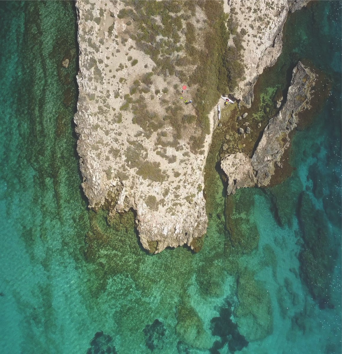Simon Baeckens (@simonbaeckens) on Twitter photo We tracked lizard chemical signals over time in five experimental populations on natural islands in the Greek Cyclades π¦ποΈ! Read our findings, now published in <a href="/FunEcology/">Functional Ecology</a> tinyurl.com/mr2jd2v4 We tracked lizard chemical signals over time in five experimental populations on natural islands in the Greek Cyclades π¦ποΈ! Read our findings, now published in <a href="/FunEcology/">Functional Ecology</a> tinyurl.com/mr2jd2v4