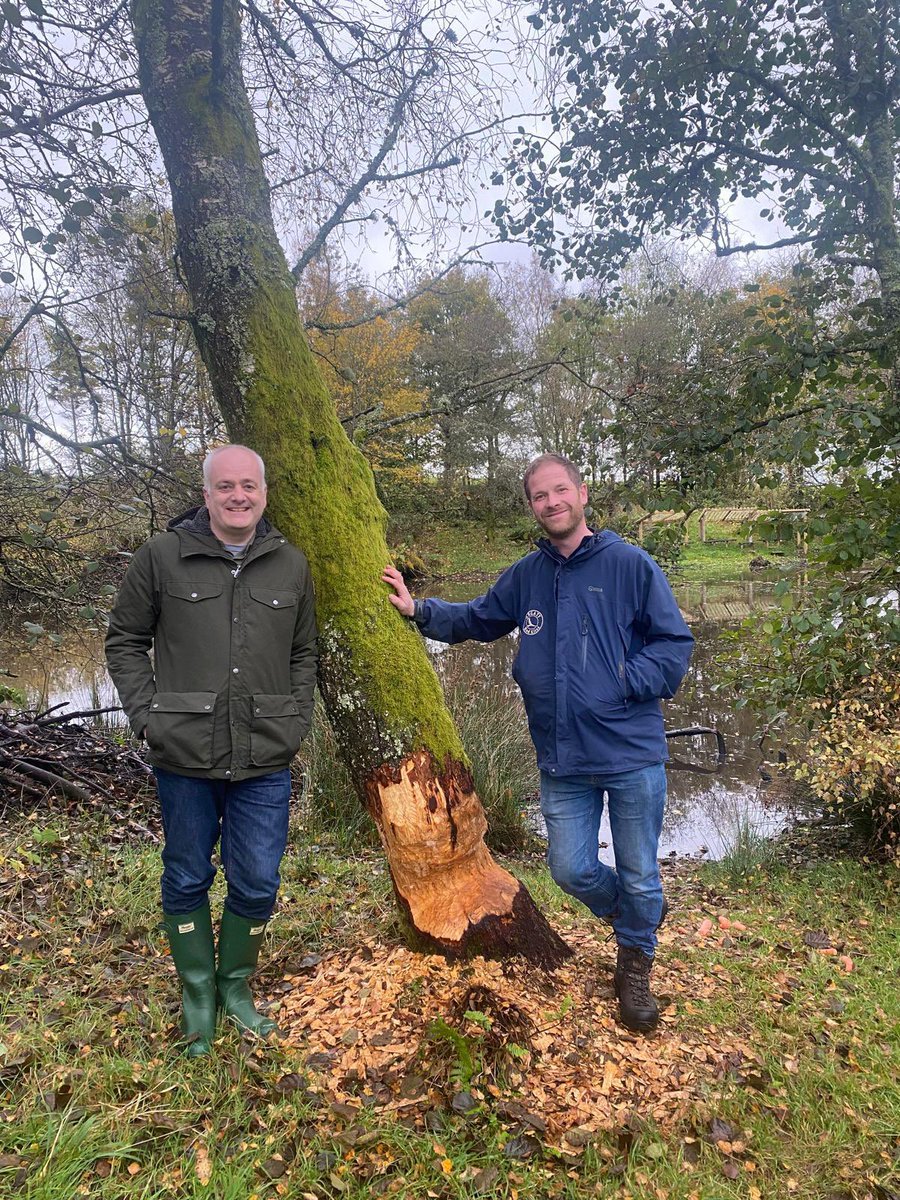 argatyredkites's tweet photo. Great to welcome our excellent MSP @markruskell &amp; his team here on Friday for a for a tour of the beaver wetlands &amp; #NatureRestorationFund riparian woodland plantations. Mark is a great champion of nature &amp; we are lucky to have him as our representative. @cwmaddix @NWillby https://t.co/GS5BP6ObMK
