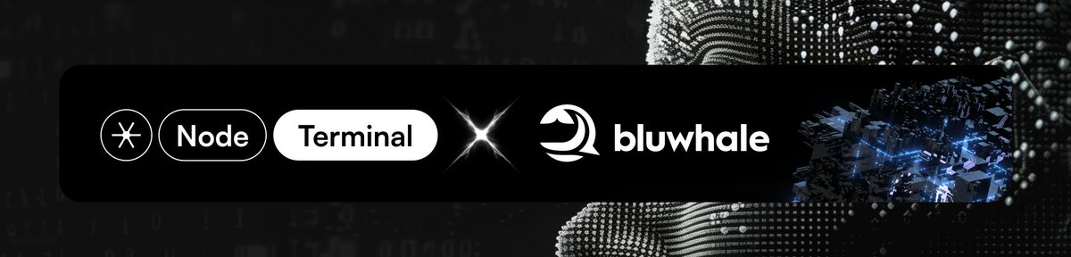 NEW PARTNERSHIP: Bluwhale AI 🤝

NodeTerminal is excited to announce a strategic partnership with <a href="/bluwhaleai/">Bluwhale</a>, an AI-driven Web3 company that empowers wallet holders to control their data while enabling businesses to connect with targeted users via blockchain. 

Together, we're
