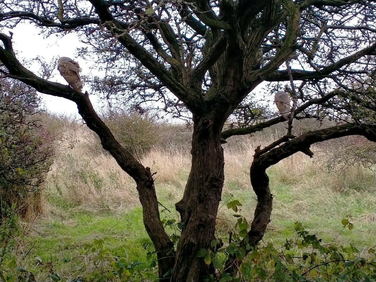 Mick Turton tweet media