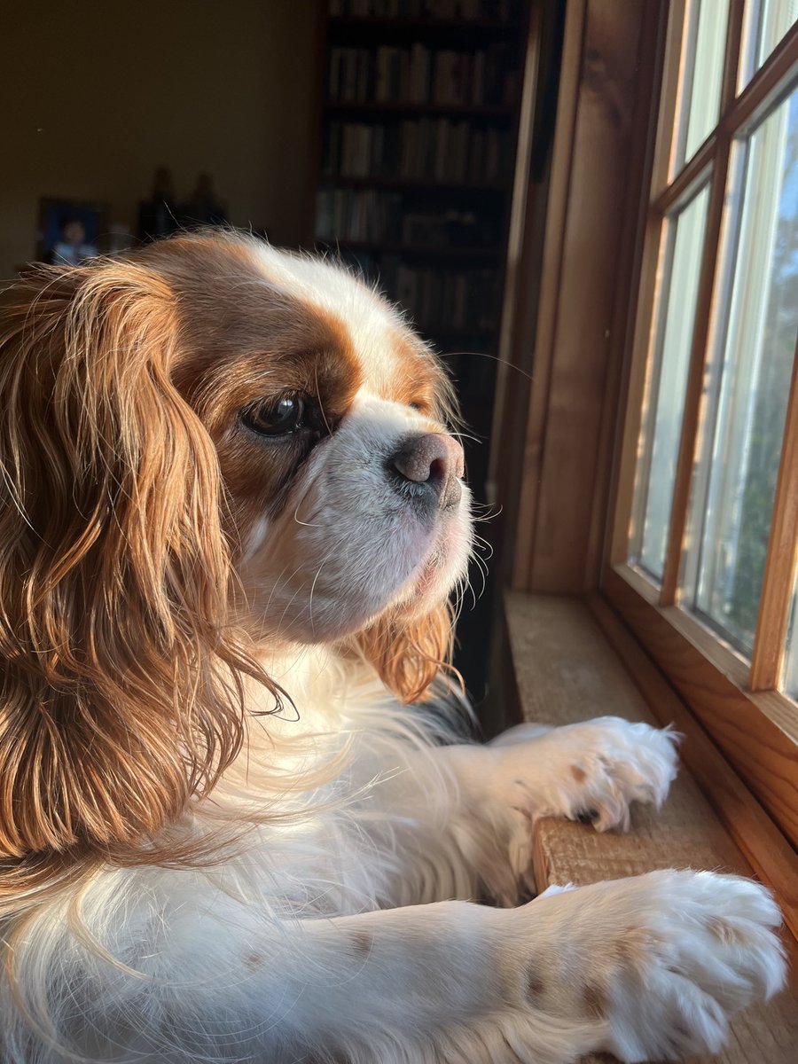 Melissa Ostrom tweet media