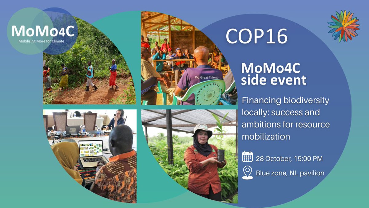 Mobilising More tweet media