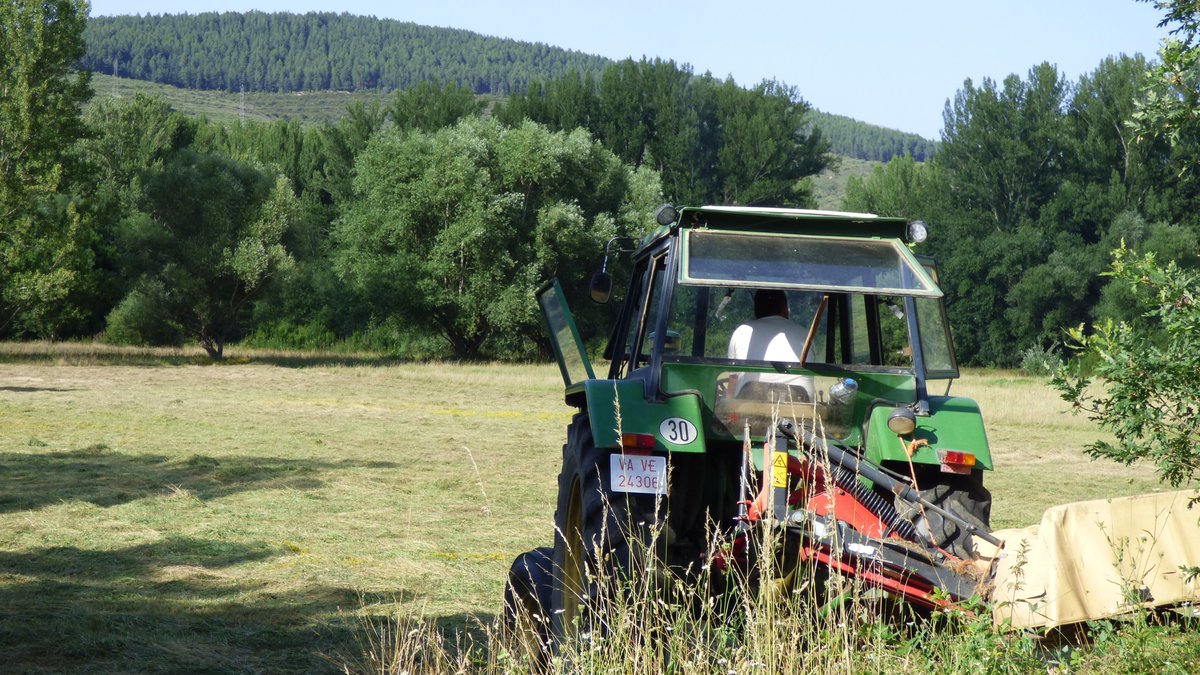 Las labores de siega en la Montaña Leonesa suelen comenzar en el mes de junio. En la Reserva de la Biosfera de los Valles de Omaña y Luna el paisaje se ha ido transformando en función de los intereses y necesidades ganaderos. <a href="/omanayluna/">Reserva de Biosfera</a>
