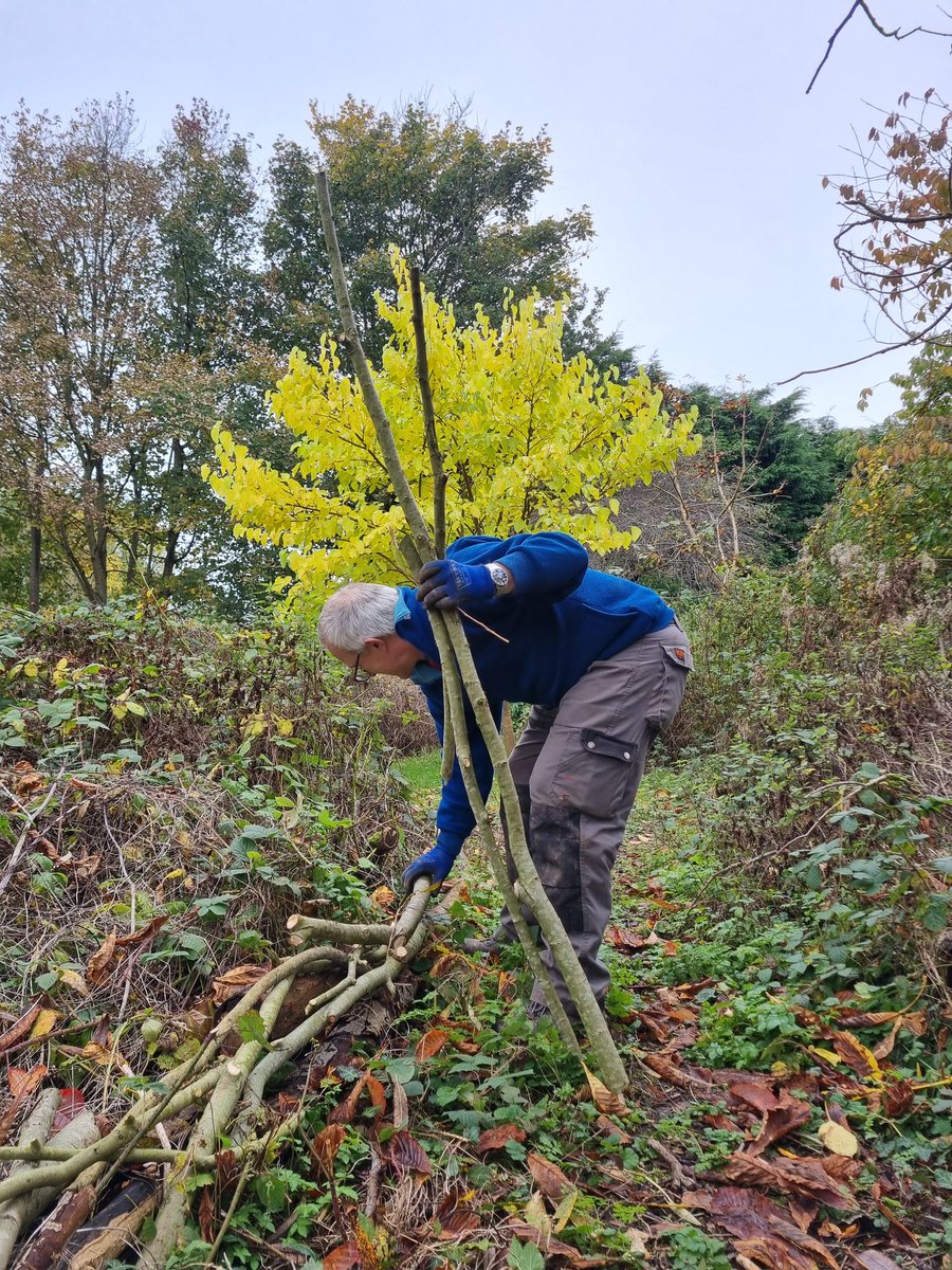 fruitnutvillage's tweet photo. Muddy boots and mulched beds after a great session at #KingdomForestGarden this morning. #Stirchley #StartTheWeek #STCommunityFund https://t.co/XXZxVRWf8I