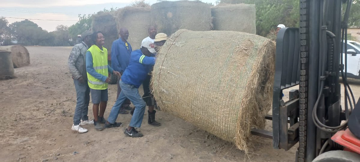 FS_DARD's tweet photo. *DARDEA CONTINUE WITH DISTRIBUTION OF ANIMAL FEED TO THE VELDFIRE - STRICKEN AREAS* 

Fezile Dabi District was amongst District that have experienced a number of veldfires destroying scores of grazing land and on-farm infrastructure. https://t.co/IvoNkm5aCb
