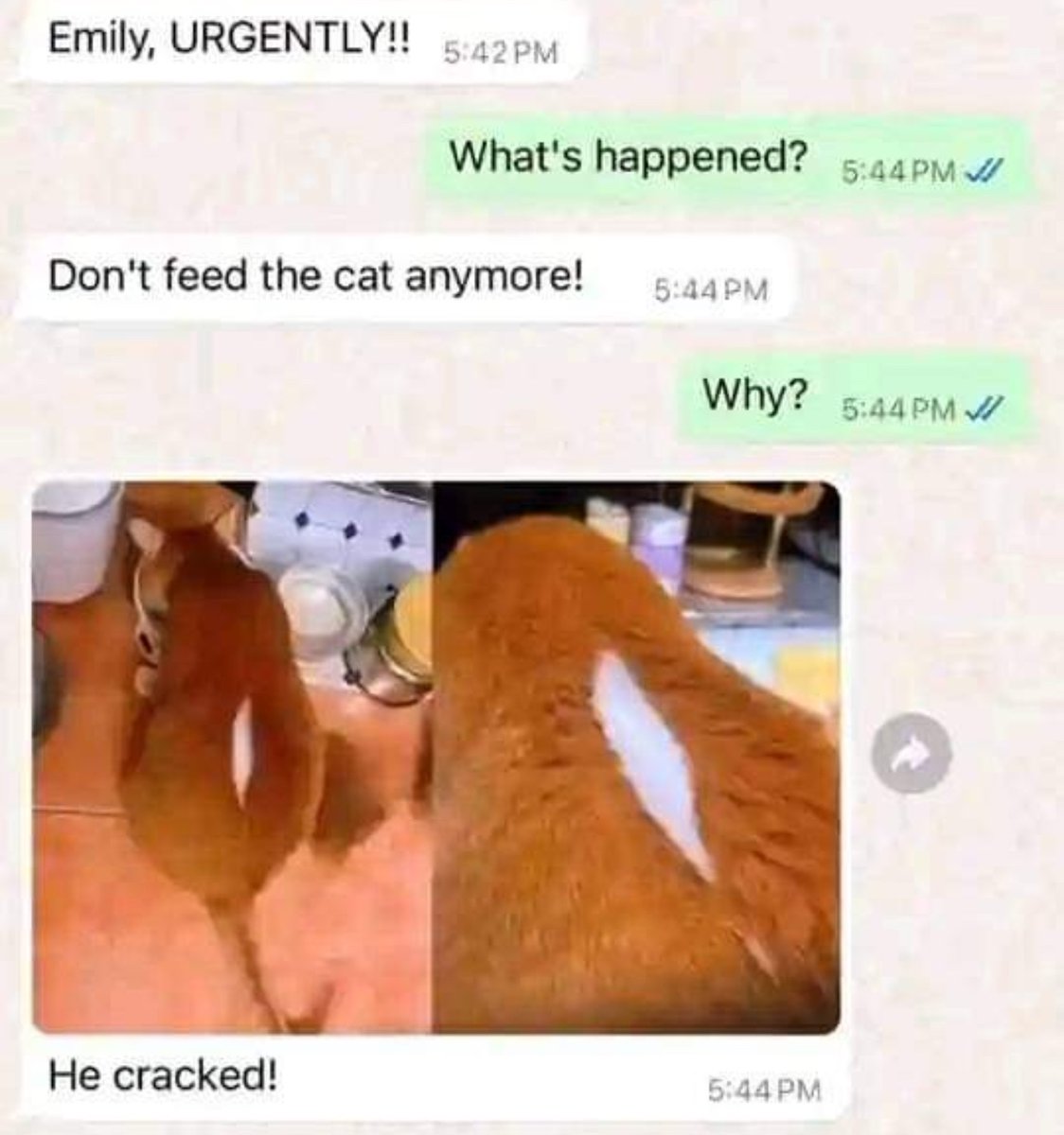 NoContextHumans's tweet photo. https://t.co/95Hb1IcyWH