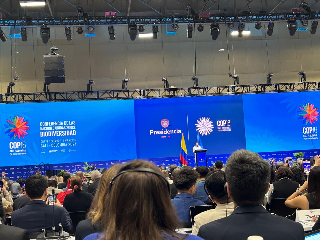 Projet de Restauration des Terres Dégradées (PRTD) tweet media