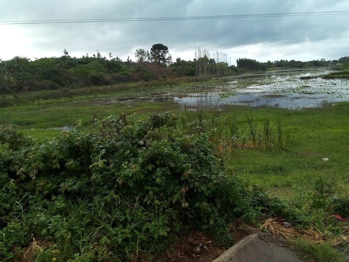 info4u2use's tweet image. #SEOVI  or Search Engine Optimization Value Indicators are the variables used by #OnLineSearch algorithms to evaluate your #OnlineContent to facilitate #contentMatching to #QueryStrings and #OtherThings