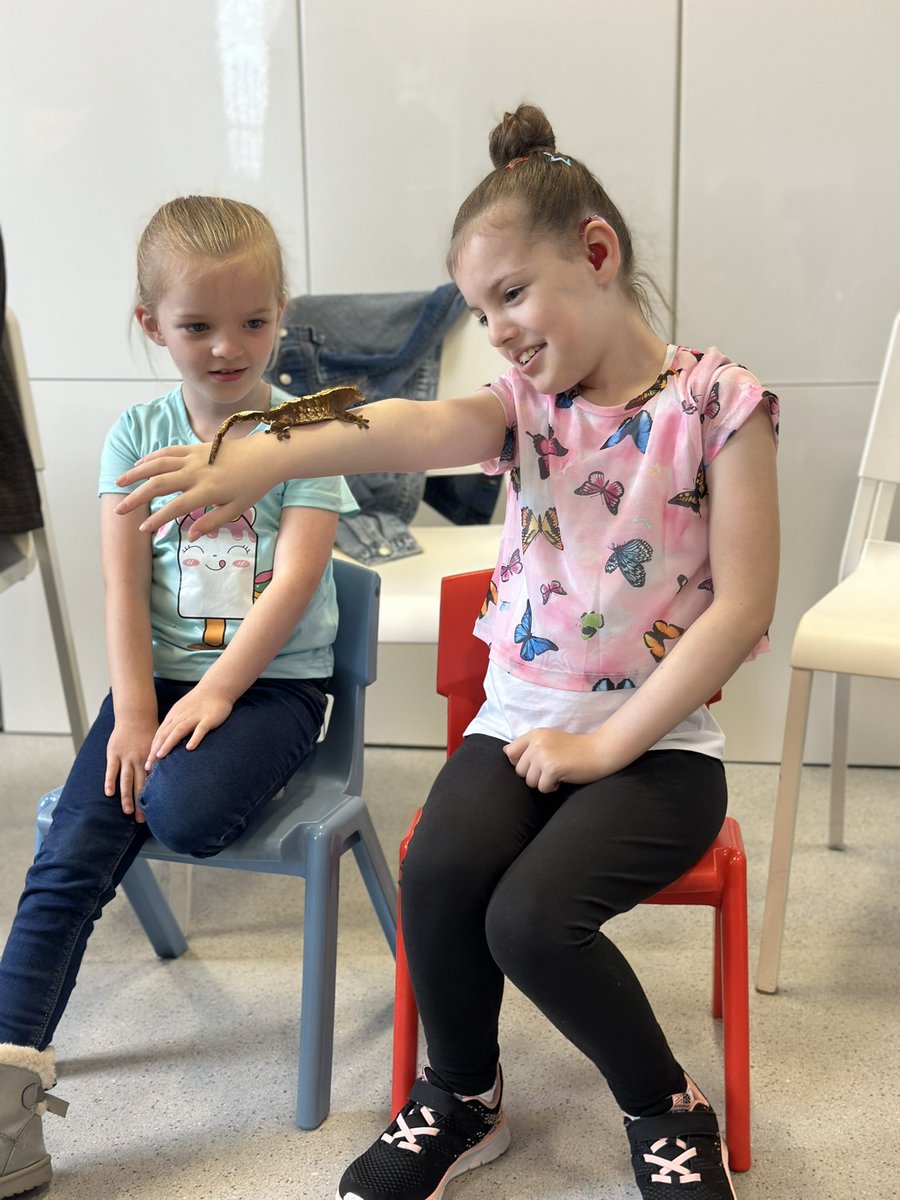 Bee Inclusive (@bee_inclusive) on Twitter photo 🤩 What a lovely way to start our half term break with a brilliant session provided by Curious Critters <a href="/dannycritters/">Curious Critters</a> We heard all about the different animals and had a hold of them. All the children (and parents!) were very brave! We hope our families really enjoyed themselves. 🤩 What a lovely way to start our half term break with a brilliant session provided by Curious Critters <a href="/dannycritters/">Curious Critters</a> We heard all about the different animals and had a hold of them. All the children (and parents!) were very brave! We hope our families really enjoyed themselves.
