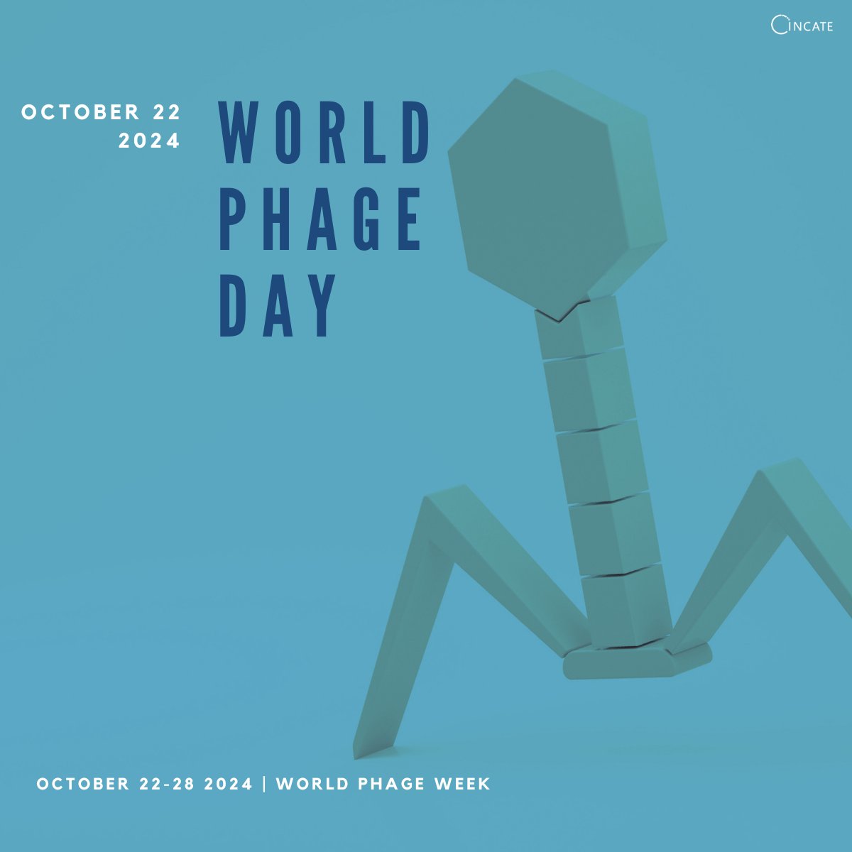 Did you know that today, October 22nd, is World Phage Day?

This day also marks the beginning of World Phage Week (October 22nd-28th), dedicated to raising awareness about the life-saving potential of #bacteriophages. 

#WorldPhageDay #WorldPhageWeek #PhageTherapy