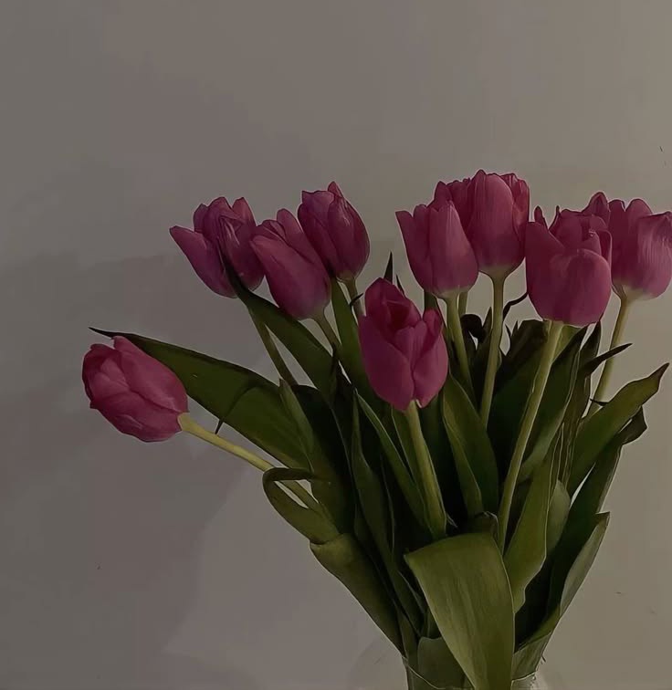 Happy 1 year 1 month anniversary 🌹♥️ <a href="/k9k7mqx/">kazuma</a>