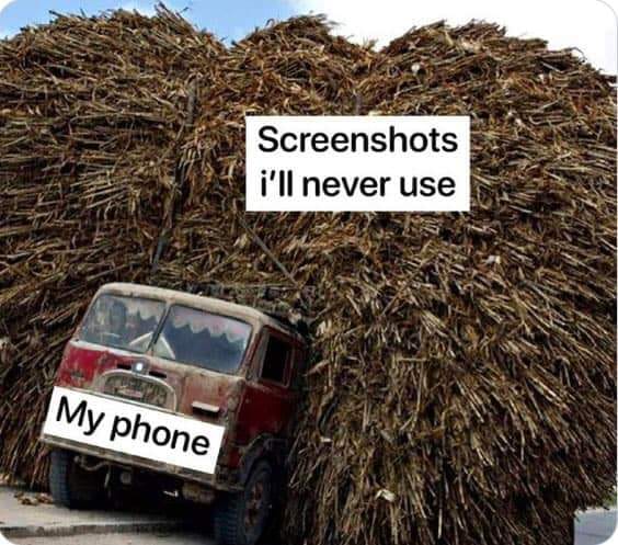 Respectful Memes tweet media