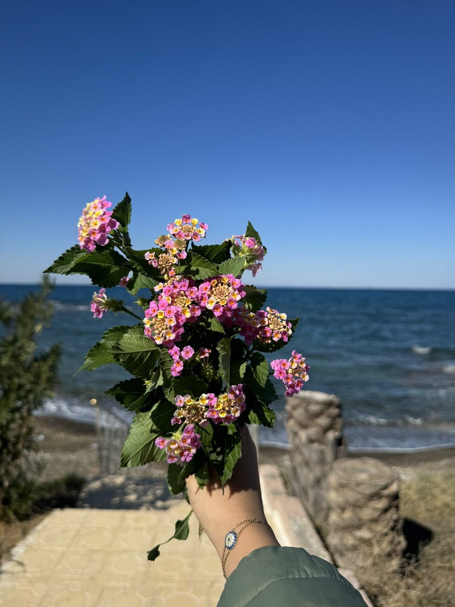 H (@hildaaa_r) on Twitter photo 