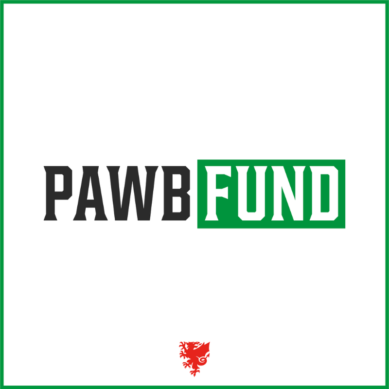FAWales's tweet photo. ⚽️ So far during the 2024/25 season the FAW PAWB Fund has awarded over £20,000 to help young people &amp; families in accessing football opportunities &amp; equipment.

This money has supported 148 players &amp; 55 clubs/organisations across Wales ♥️🏴󠁧󠁢󠁷󠁬󠁳󠁿

Learn more &amp; how to apply👇