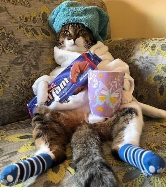 Eloy Portell tweet media